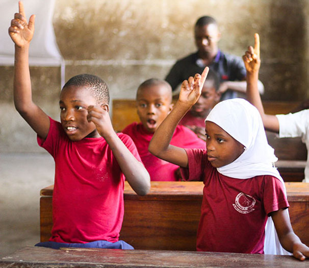 Discover Learning Project